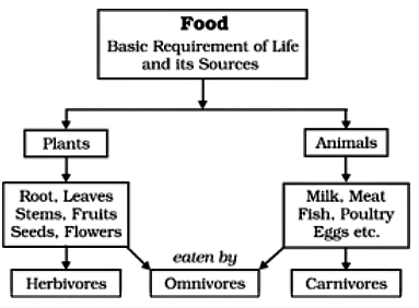 Key Concepts: Food - Where does it Come from? Notes | Study Science Class 6 - Class 6