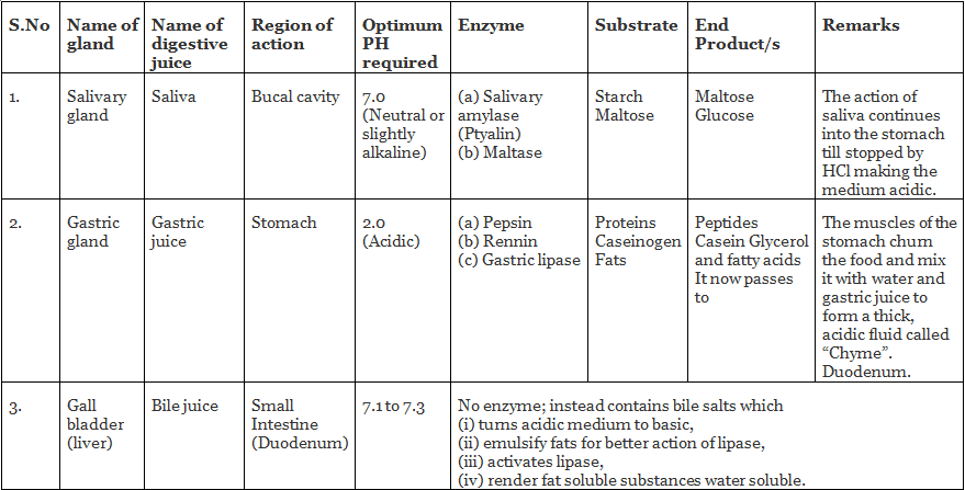 Nutrition, Digestion - Notes | Study Science & Technology for UPSC CSE - UPSC