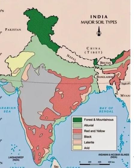 Soil: Composition, Characteristics and Types of Soils - Geography for ...