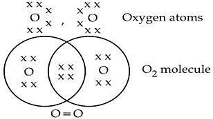 O2 molecule formation