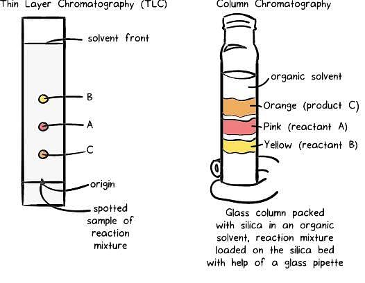 Fig: Chromatography