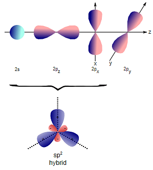 Formation of sp2 hybridization