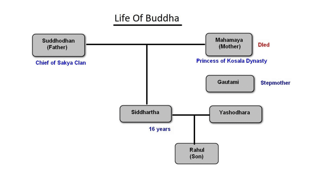 Gautama buddha store family tree