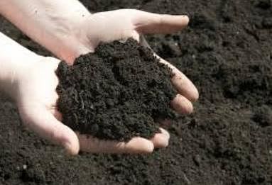 Loamy soil