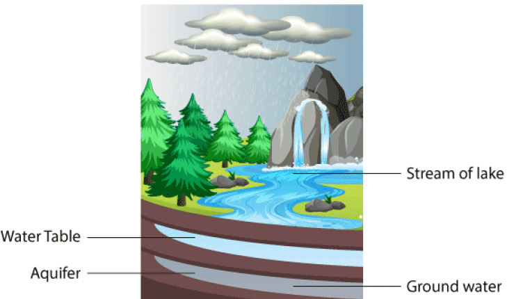 Ncert Solution Water A Precious Resource Notes Study Science Class 7 Ncert Solution Water A Precious, What Do You Mean By Water Table Class 7