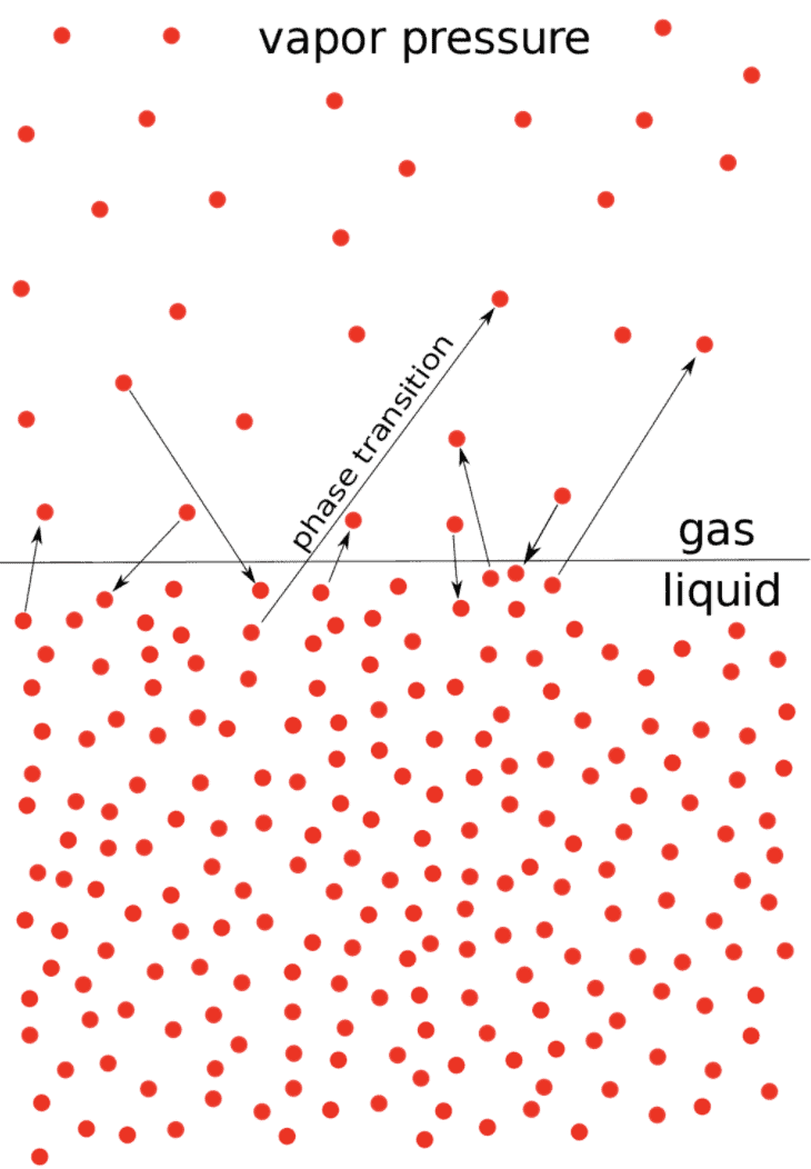 Vapour Pressure, Raoult`s Law, Ideal & Non Ideal Solutions | Physical Chemistry for NEET