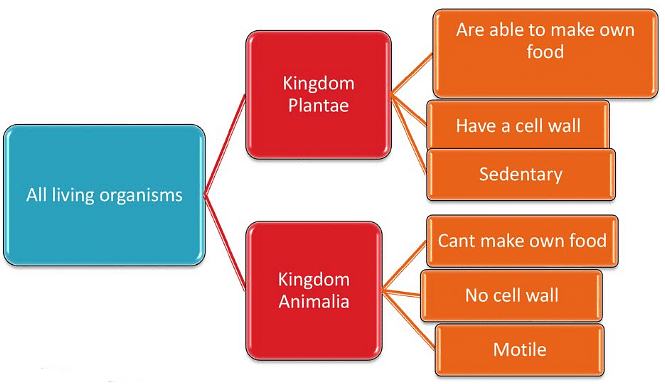 Two Kingdom System of Classification