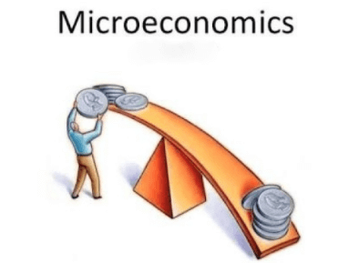 Basics Of Microeconomics - Indian Economy For UPSC CSE PDF Download