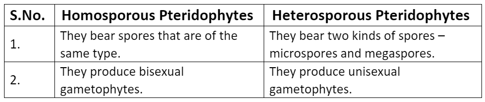 Plant Kingdom NCERT Solutions | Biology Class 11 - NEET