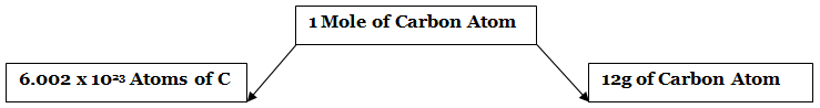 Atomic & Molecular Mass and Mole Concept | Chemistry Class 11 - NEET