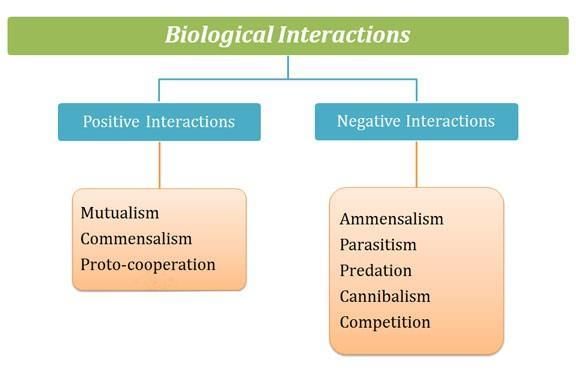 Shankar IAS: Summary of Functions of An Ecosystem | Famous Books for UPSC Exam (Summary & Tests)