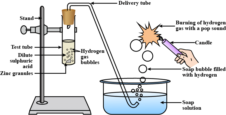 Acids, Bases & Salts NCERT Solutions | Science & Technology for UPSC CSE