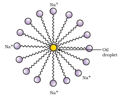 Previous Year Questions: Carbon & its Compounds - 2 | Science Class 10