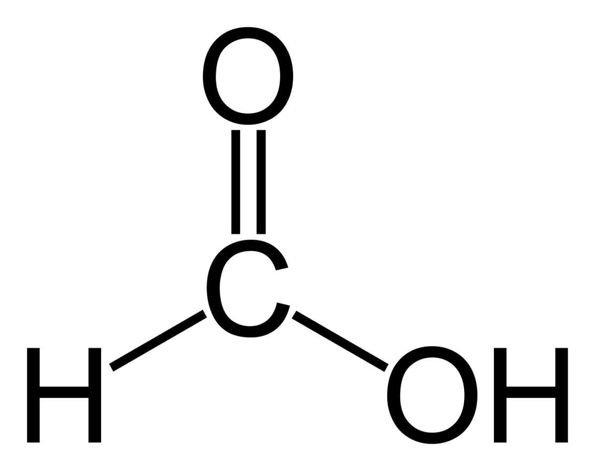 Formic Acid Facts, Dangers, and Uses in Nature and in Humans ...