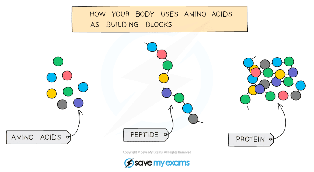 Chemicals and Life - Year 9 PDF Download