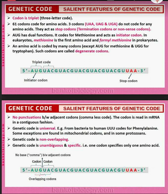 Salient Features Of Genetic Code Edurev Neet Question