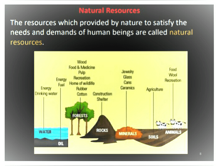 assignment on sustainable management of natural resources