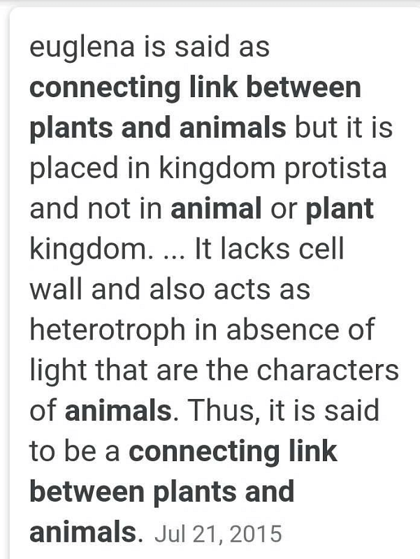 Which oraganism is a connecting link between plants and animals | EduRev  Class 11 Question
