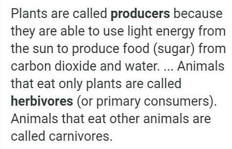 differentiate between producers and herbivores Related: NCERT Solution -  Food: Where does it Come from?? | EduRev UPSC Question
