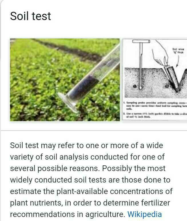 what-is-soil-sampling-edurev-class-5-question