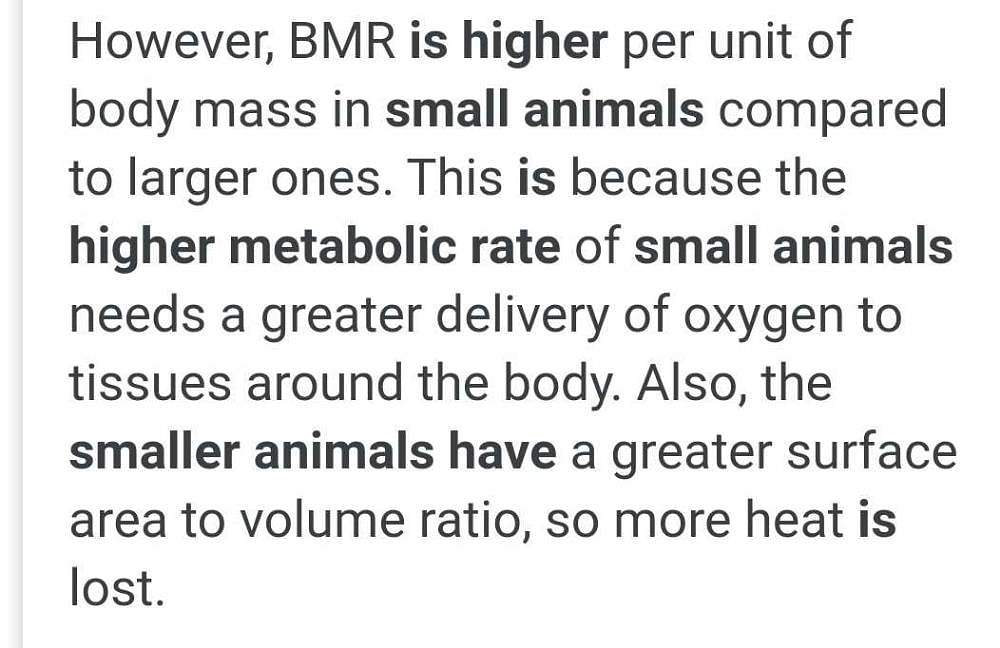 smaller animals have high metabolic rate. why Related: Previous Year  Questions (2016-19) - The Living World? | EduRev NEET Question