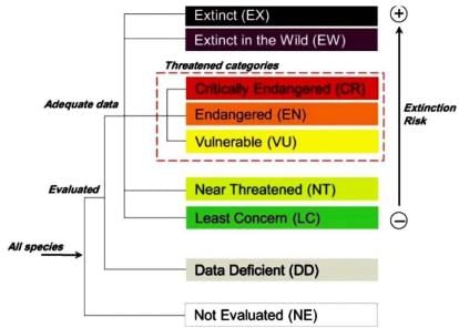 Shankar IAS: Summary of Animal Diversity Of India - Notes | Study Famous  Books for UPSC Exam (