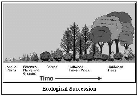 Functions of an Ecosystem- 2 - Environment for UPSC CSE PDF Download