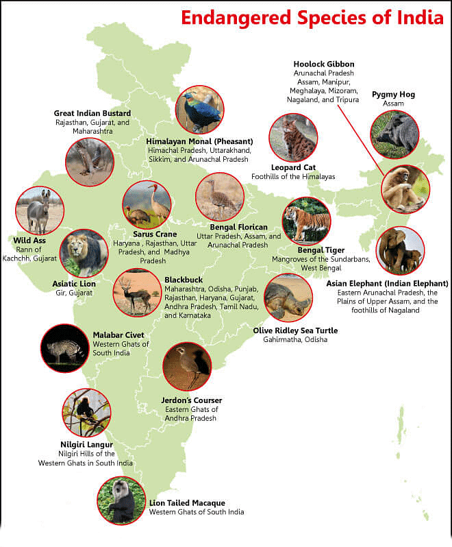 Endangered Species of India - Oxford Student ATLAS: Maps and Tests