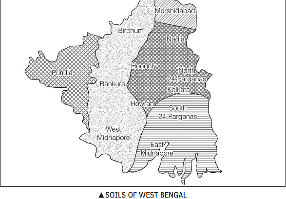 Soils of West Bengal - WBCS Preparation: All Subjects - WBCS (West ...