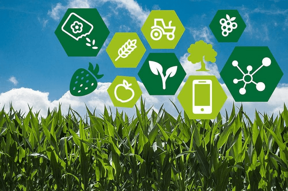 Wireless Sensing for Precision Agriculture