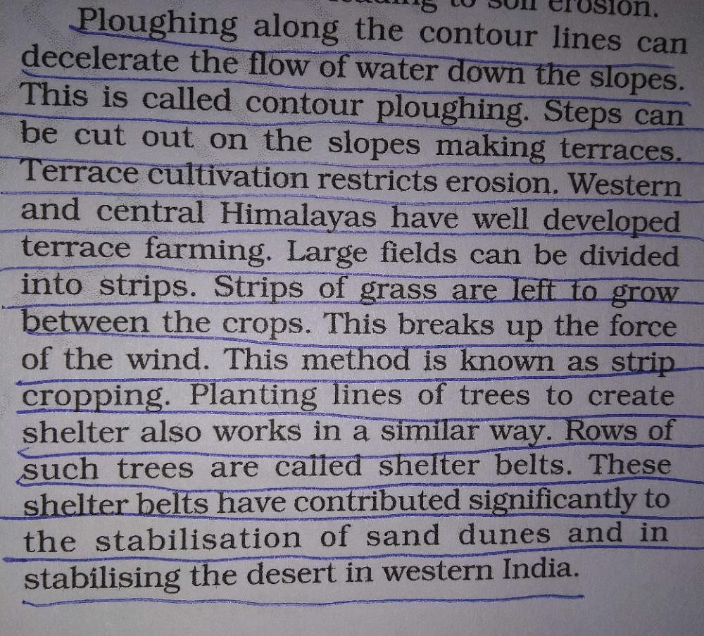 Ways to control soil 2025 erosion in hilly areas