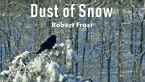 Analysis of Poem Dust of Snow by Robert Frost  Owlcation