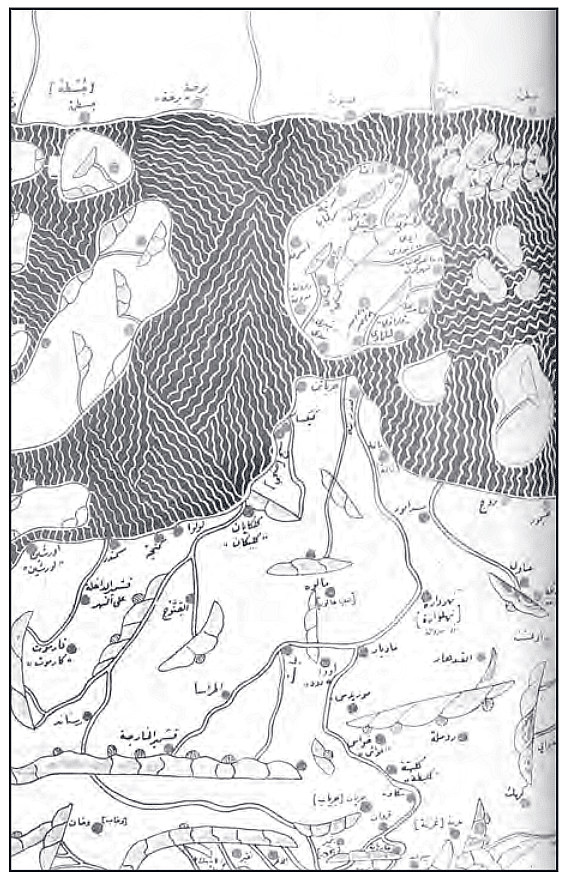 Al-Idrisi`s Map