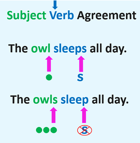 Subject Verb Agreement Notes | Study English for CLAT - CLAT