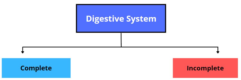 Basis of Classification | Biology for Grade 11