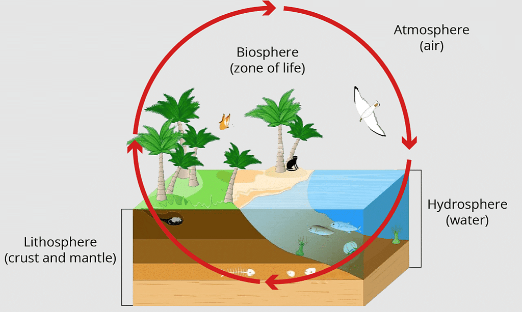 Ecosystem: Introduction and Types - Biology Class 12 - NEET PDF Download