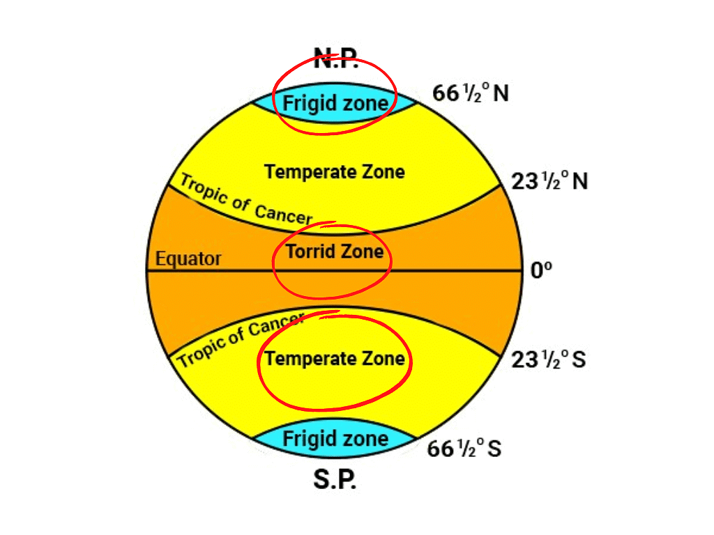 Ncert Solutions For Class 8 Geography - Globe- Latitudes And Longitudes