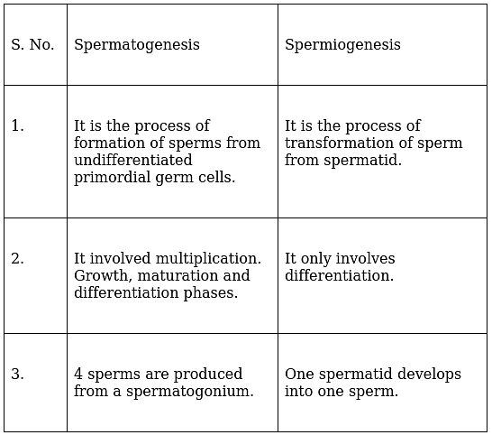Difference between Spermatogenesis & Spermiogenesis