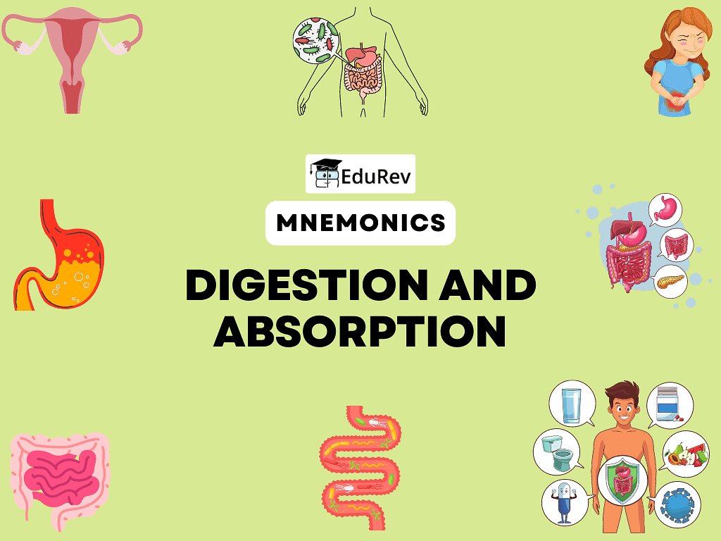 Mnemonics Digestion and Absorption (Old NCERT) Crash Course for NEET