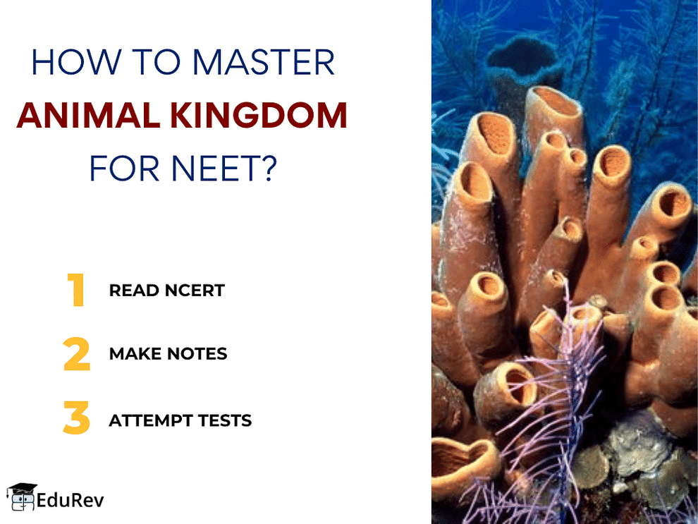 How to Master Animal Kingdom for NEET? Topicwise MCQ Tests for NEET