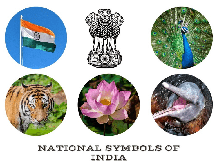 National Symbols of India - Notes | Study Additional Study Material for CLAT - CLAT National Symbols of India - Notes | Study Additional Study Material for CLAT - CLAT