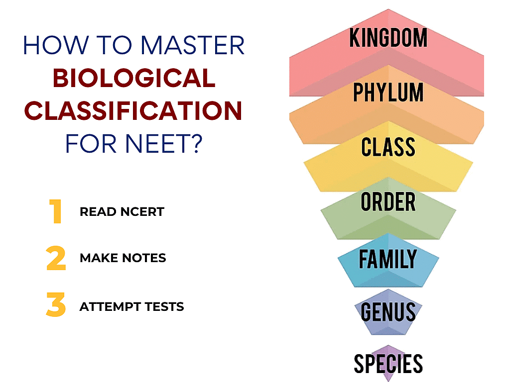 how-to-master-biological-classification-for-neet-topic-wise-mcq