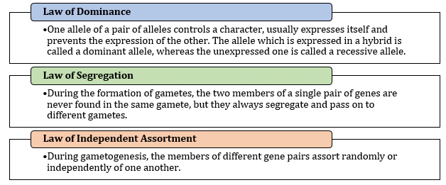 Revision Notes: Heredity & Variation - Notes | Study NCERT Exemplar & Revision Notes for NEET - NEET