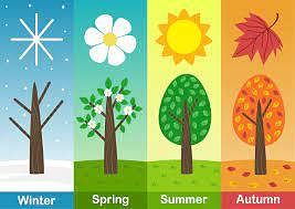 Learn English Online - Free Beginners Course - Unit 5 - Lesson 23 - The  Seasons