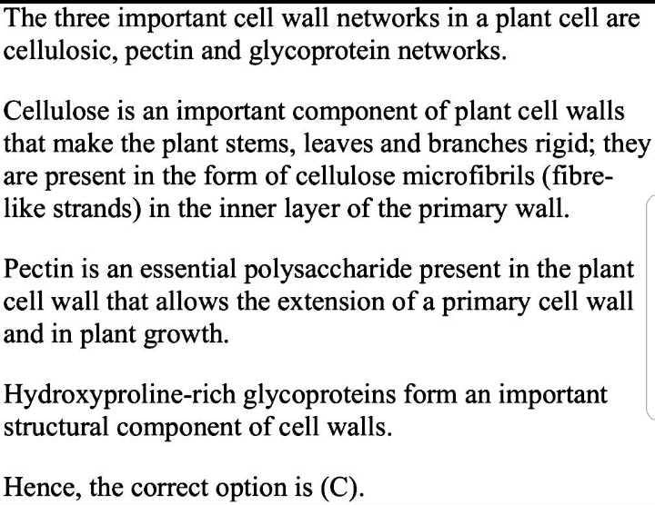 Besides cellulose microfibrils, the other two cell wall networks are