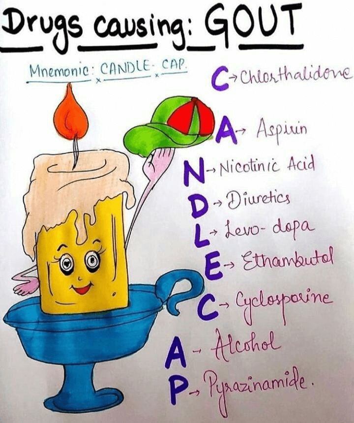HUMAN BODY FACTS !! MINERAL NUTRITION REVISION OF NCERT !! Drugs