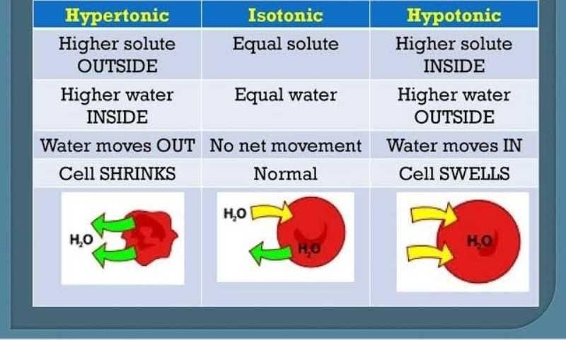 Isotonic Solution Meaning In Marathi