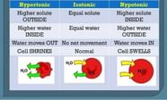 What Is The Difference Between Hypertonic And Hypotonic Solution 