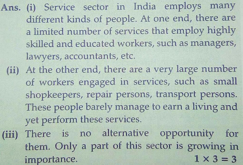 essay on service sector for project