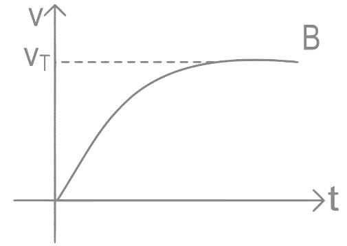 A Spherical Ball Is Dropped In A Long Column Of A Highly Viscous Liquid The Curve In The Graph